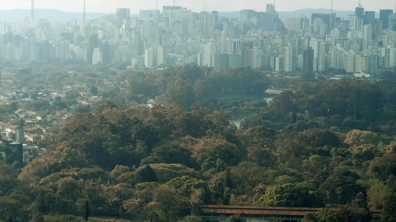 Webseiten-Erstellung São Paulo